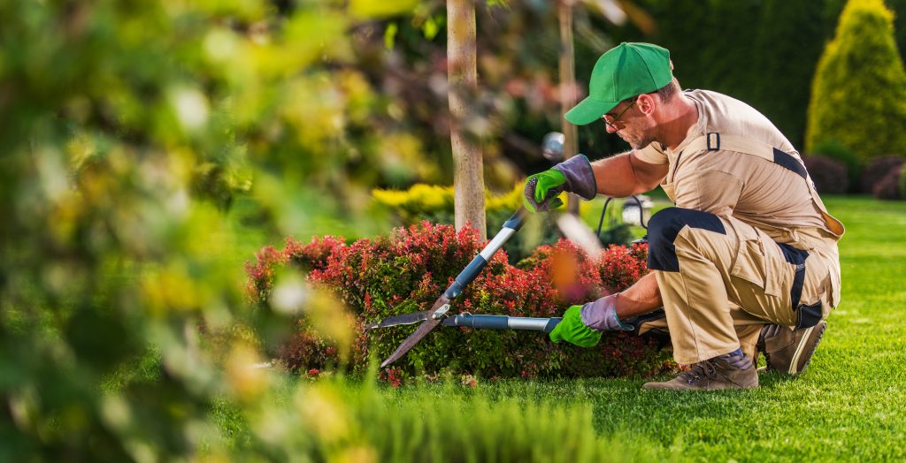 caucasian garden and landscaping services contractor