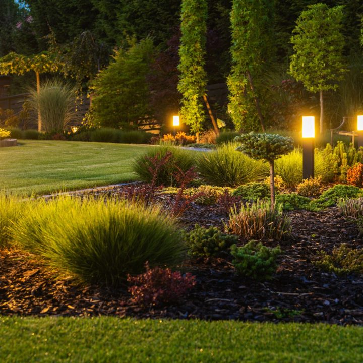 modern backyard outdoor led lighting systems