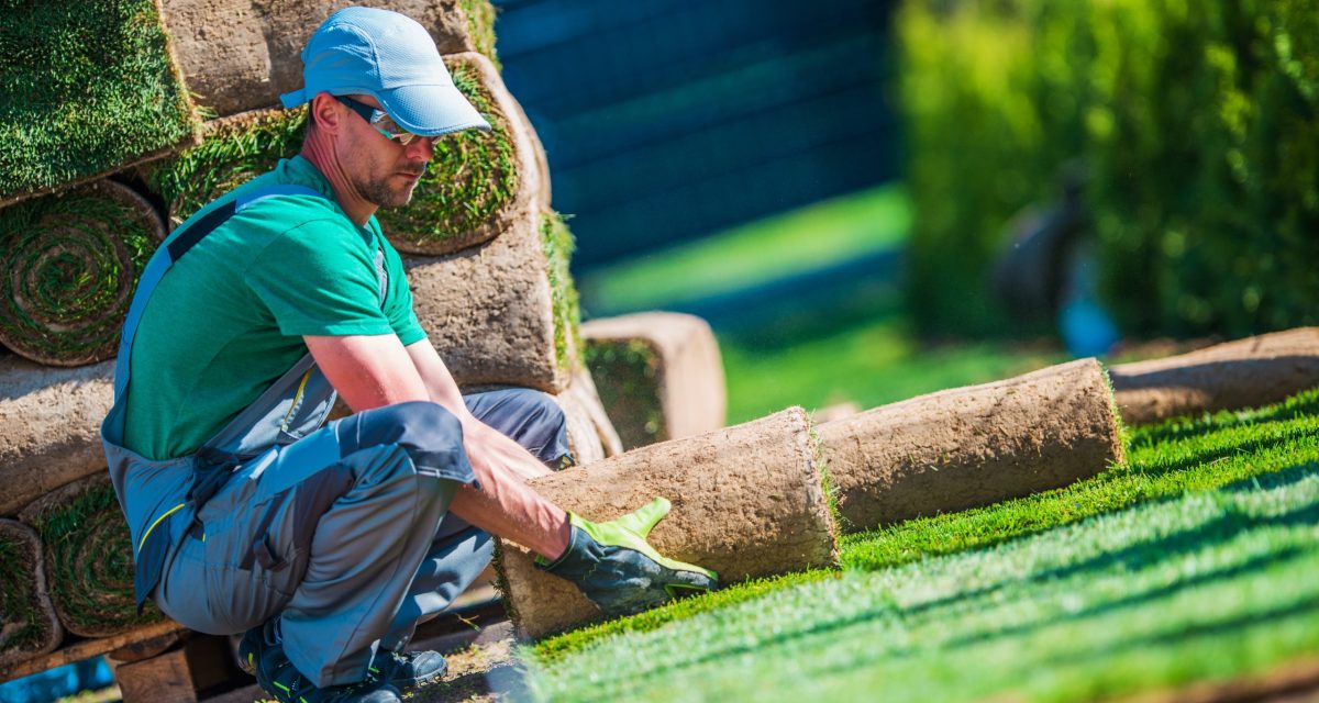 new turf grass installation