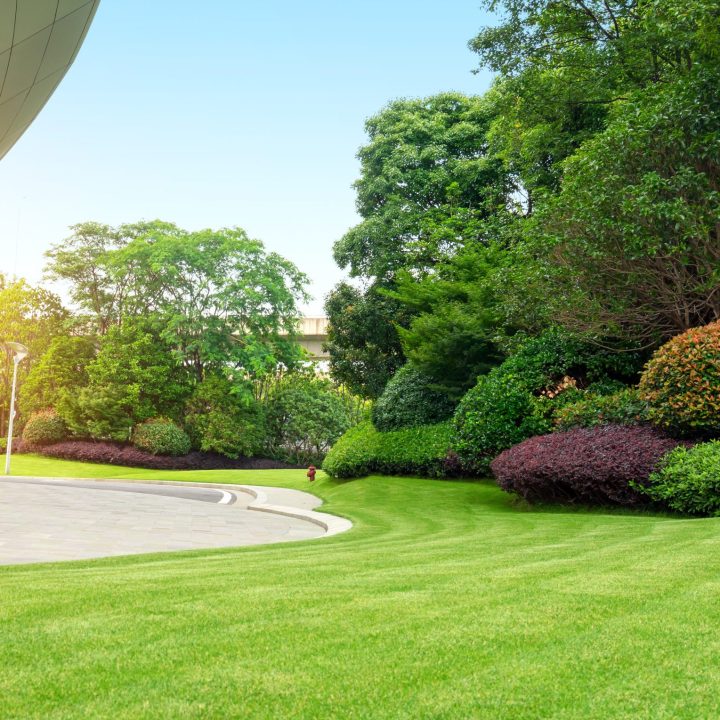 asphalt highway next to modern building